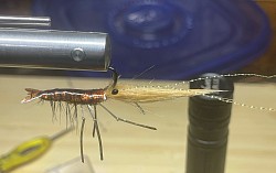 Pauls shrimp fly