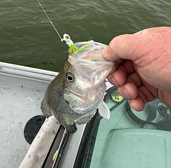 Gpoort( Greg) wore out the slabs with his famous jig that we sell here on  page 1